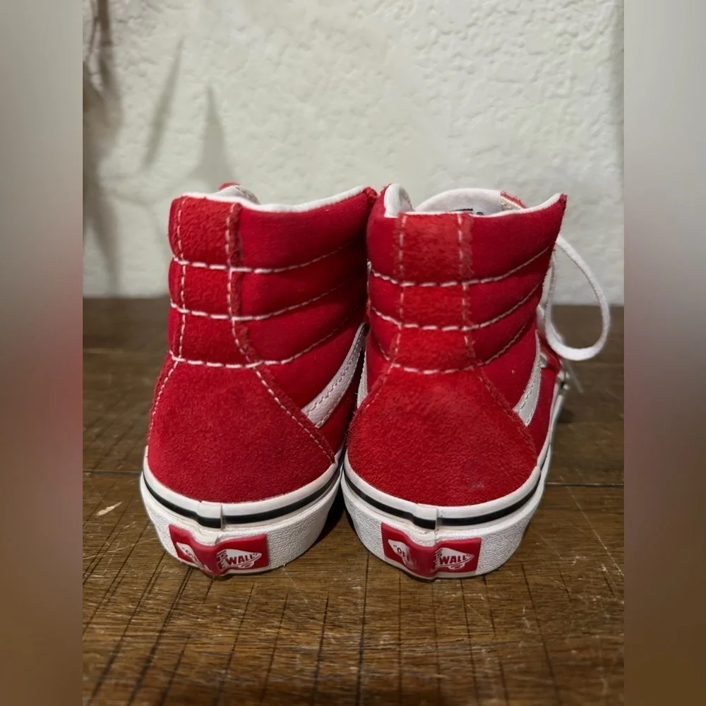 Sk8-Hi Shoe Lifestyle, Original Icon, Suede, Canvas size 1